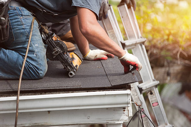 Best Roof Gutter Cleaning  in West Lealman, FL